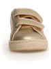 Naturino Leder-Sneakers "Pinn" in Gold