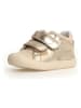 Naturino Leder-Sneakers "Belix" in Beige