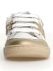 Naturino Sneakers "Picho" in Weiß/Beige