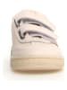 Naturino Leder-Sneakers "Jenix" in Beige