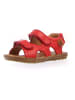 Naturino Leren sandalen "Sky" rood
