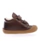 Naturino Leren sneakers "Coco" bruin