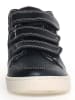 Naturino Leren sneakers "Theral" zwart