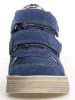 Naturino Leder-Sneakers "Hess 3" in Blau