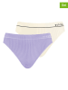 Nur Die 2er-Set: Slips in Creme/ Lila