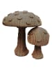 Cartonic 3D-puzzel ''Mushrooms'' lichtbruin