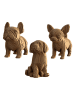 Cartonic 3D-puzzel ''Puppies Trio'' lichtbruin