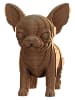 Cartonic 3D-puzzel ''Puppies Trio'' lichtbruin
