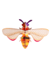 Studio ROOF 3D-Wanddekoration ''Honey Bee'' in Bunt - (B)20 x (H)14 x (T)6 cm
