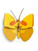 Studio ROOF 3D-wanddecoratie ''Butterfly'' geel - (B)14 x (H)14 x (D)5 cm