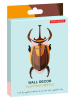 Studio ROOF Dekoracja ścienna 3D "Elephant Beetle" w kolorze brązowym - 8 x 18 x 5,5 cm