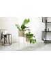 Lifa Living 2-delige set: plantenstandaards ''Nora'' goudkleurig