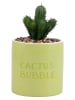 Villa d´Este 4er-Set: Kunstpflanzen "Cactus Bubble" in Grün - (H)20x Ø 10 cm