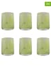 Villa d´Este 6er-Set Wassergläser "Thalia" in Grün - 350 ml