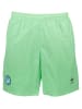 adidas Trainingsshorts in Grün