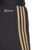 adidas Laufshorts in Schwarz/ Hellbraun/ Hellbraun