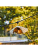 lumisky Ledlichtguirlande "Molly" naturel - (L)600 cm
