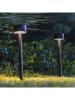 lumisky 2er-Set: Solar-Gartenstecker "Forty" in Schwarz - (H)30 x Ø 7,6 cm