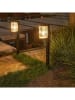 lumisky 2-delige set: ledbuitenlampen "Beamlit" zwart - (B)7,8 x (H)57,9 x (D)11 cm