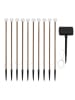lumisky LED-Solar-Pflanzenbeleuchtung ''Lolly'' in Hellbraun - (L)40 x (B)500 cm