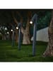 lumisky Solarna lampa ogrodowa LED w kolorze szarym na trzonku - 12,9 x 56 x 8,5 cm