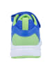 Richter Shoes Sneakers "Buddy" in Blau