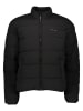 Pepe Jeans Winterjacke in Schwarz