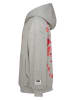 Vingino Hoodie in Grau