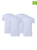 McGregor 4er-Set: Shirts in Weiß