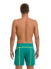 Arena Badeshorts in Türkis