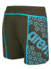 Arena Zwemshort bruin/turquoise