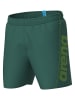 Arena Badeshorts in Grün