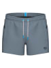 Arena Badeshorts in Grau