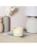 THE HOME DECO FACTORY Geurkaars crème - 200 g