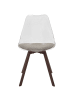 The Concept Factory Stuhl in Braun/ Transparent/ Taupe