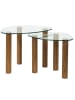 THE HOME DECO FACTORY Set van twee bijzettafels transparant/lichtbruin