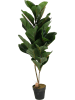 THE HOME DECO FACTORY Kunstplant groen - (H)98 x Ø 14 cm