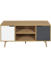 THE HOME DECO FACTORY TV-meubel "Sven" naturel/grijs/wit - (B)120 x (H)56 x (D)39 cm