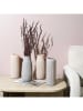 THE HOME DECO FACTORY Vaas "Terra Nova" in beige (verrassingsproduct) - (H)26 cm