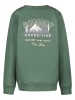 Cars Sweatshirt "Taray" groen