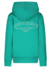 Cars Hoodie "Celence" groen