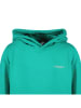 Cars Hoodie "Celence" groen