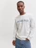 Jack & Jones Sweatshirt "Devin" in Silber