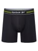 Reebok 3er-Set: Boxershorts "Roscoe" in Schwarz