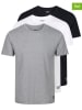 Reebok 3er-Set: Shirts "Santo" in Schwarz/ Weiß/ Grau