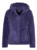 Westfjord Funktionsjacke "Glymur" in Lila