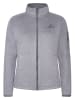 Westfjord Fleecejacke "Katla" in Grau