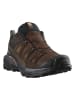 SALOMON Leren wandelschoenen "X Ultra 360 LTR GTX" bruin
