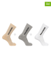 SALOMON 3er-Set: Funktionssocken "Everyday Crew" in Beige/ Grau/ Weiß