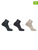 SALOMON 3-delige set: functionele sokken "Everyday Crew" grijs/zwart/beige